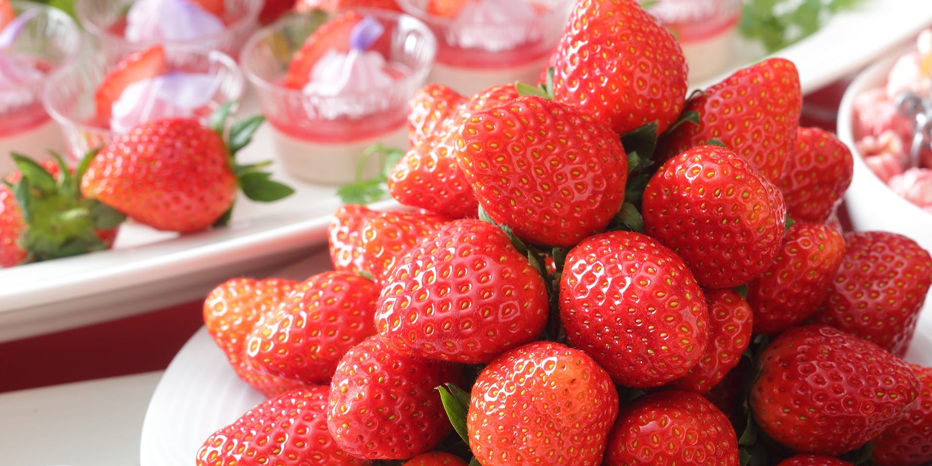 ガーデニア(ホテルマイステイズプレミア成田)