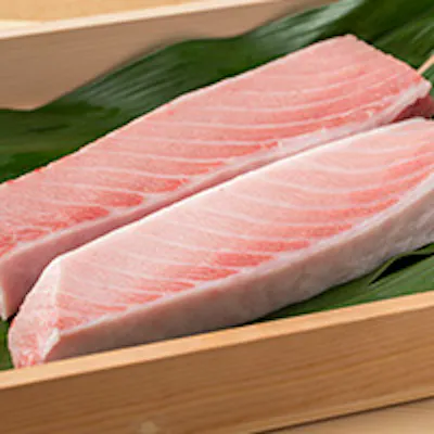 朝採れ鮮魚と自慢の生本マグロ