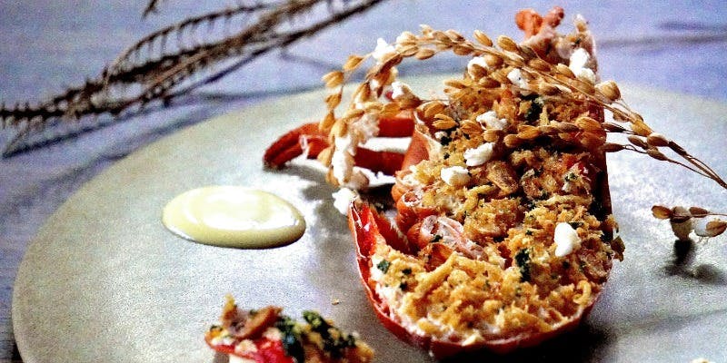 MIRAIE Dining／MIRAIE LEXT HOUSE NAGOYA - 画像41