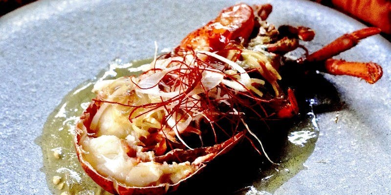 MIRAIE Dining／MIRAIE LEXT HOUSE NAGOYA - 画像20