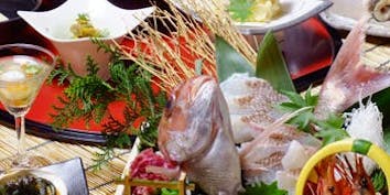 【雅プラン】鮮魚や海鮮ちらしなど全9品 - 銀波－GINPA－ 新宿東口店