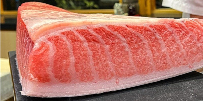 【夜のみ限定】椿　TUBAKIコース ～握りの魅力をまっすぐに味わう（カウンター席のみ）