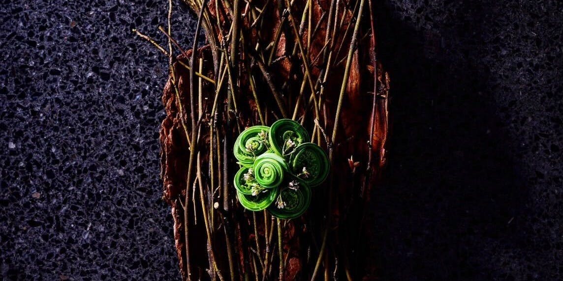 agnel d’or - 画像12