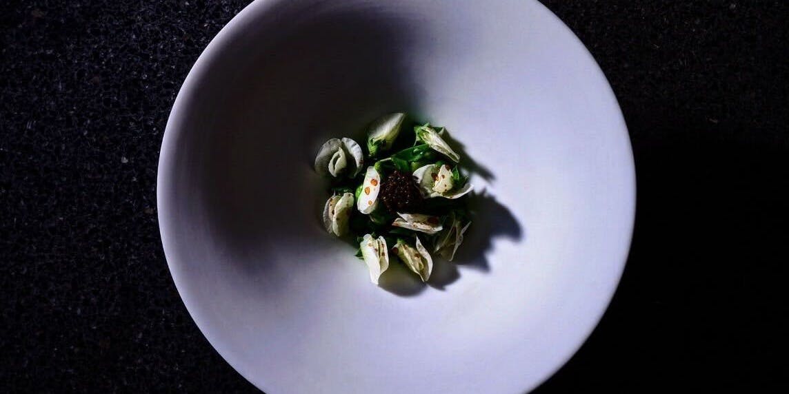 agnel d’or - 画像15