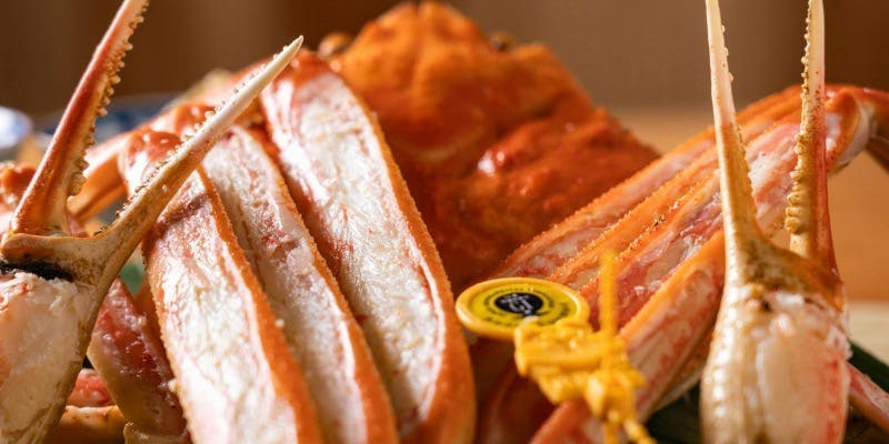 【蟹尽くし】松葉蟹洗い、松葉蟹炭火焼、甲羅焼き、蟹御飯等全8品（Xmas2025）