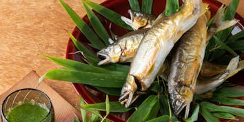 【天然鮎尽くし】天然鮎の塩焼きを含む鮎料理　全8品 - 銀座 ます田