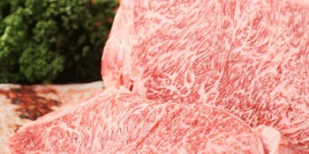 鉄板ダイニング織部