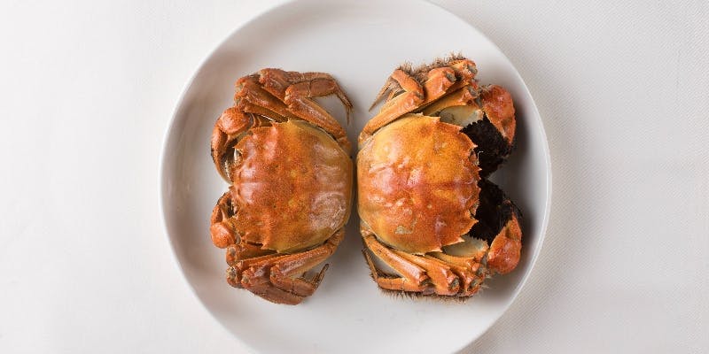 【12月1日から】年内限りダブル上海蟹を贅沢に味わう～シェフお薦めコース全9品～＋乾杯シャンパーニュ付