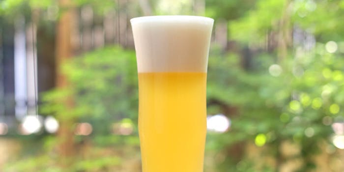 のぐち躙り口 - 画像10