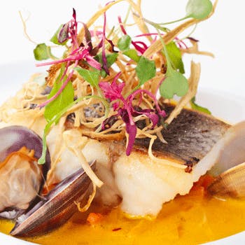 �r�X�g�� �_�C�A