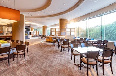 テラス レストラン/ヒルトン成田