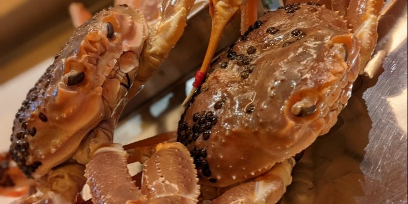 【蟹コース】タグ付き蟹と浪速の伝統野菜を中心にしたコース