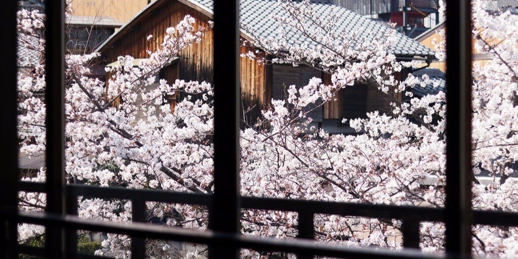 祇園 白川 なみ里