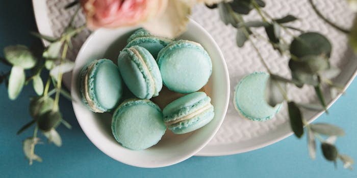 彦根 長浜の景色が良いでおすすめレストラントップ3 一休 Comレストラン 彦根 長浜の景色が良いでおすすめレストラントップ3 一休 Comレストラン