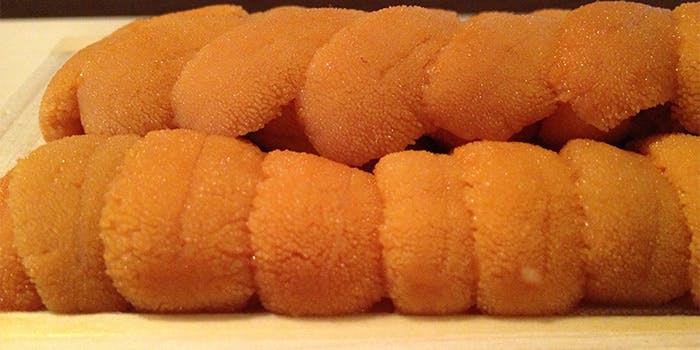 鮨わさび - 画像4