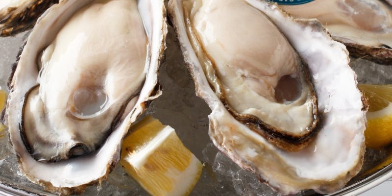 【牡蠣フルコースプラン】真牡蠣食べ比べ、パスタ、ステーキなど全8品
