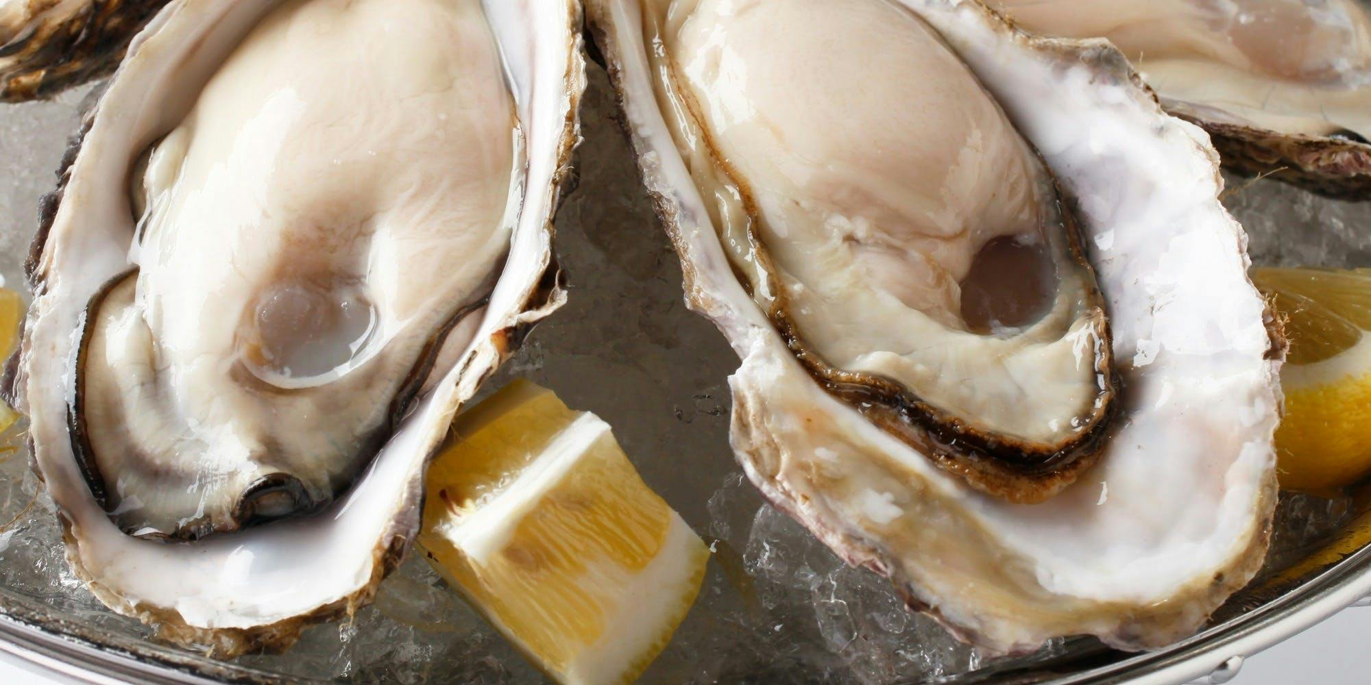 魚italian Oyster 梅田ワーフ サカナイタリアンアンドオイスター ウメダワーフ 阪急梅田 ダイニングバー 一休 Comレストラン 魚italian Oyster 梅田ワーフ サカナイタリアンアンドオイスター ウメダワーフ 阪急梅田 ダイニングバー 一休 Comレストラン