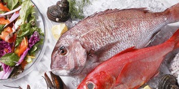 魚Italian&Oyster 梅田ワーフ - 画像13