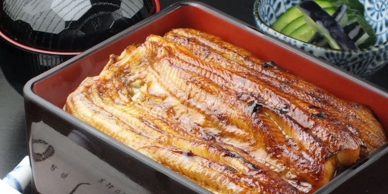 【鰻満喫コース】鰻の酢の物、うなぎ肝焼き、天婦羅やうな重など全9品