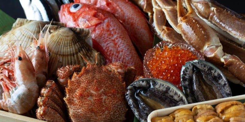 【北海道フェア】特別ランチ会席　食の宝庫 北海道の魅力をたっぷりとお届け 全9品