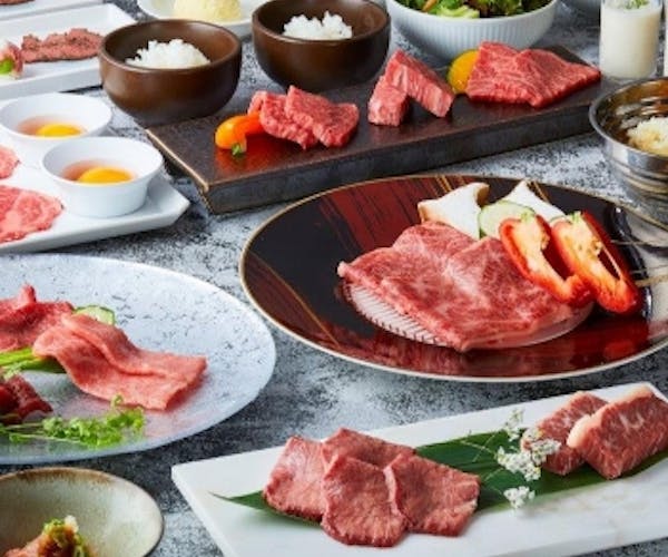 ディナー 焼肉 東京焼肉 平城苑 銀座5丁目店 Okaimonoモール レストラン