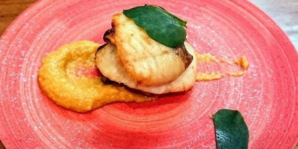 佳肴岡もと（カコウオカモト）