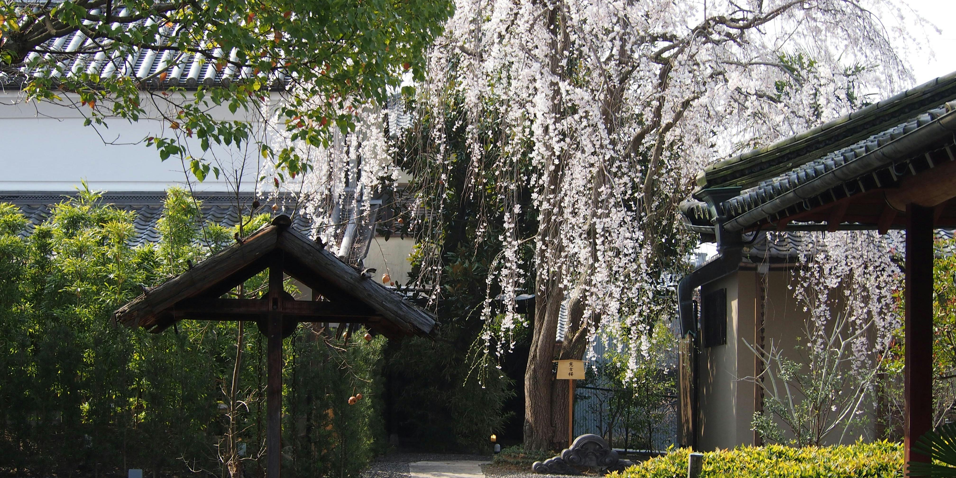 うぶすなの郷 TOMIMOTO - 画像3