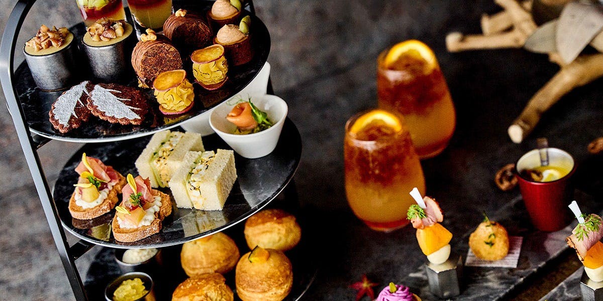 Bar & Dining TORRENT／SHIBUYA STREAM HOTEL 【Bar・Princess Plan