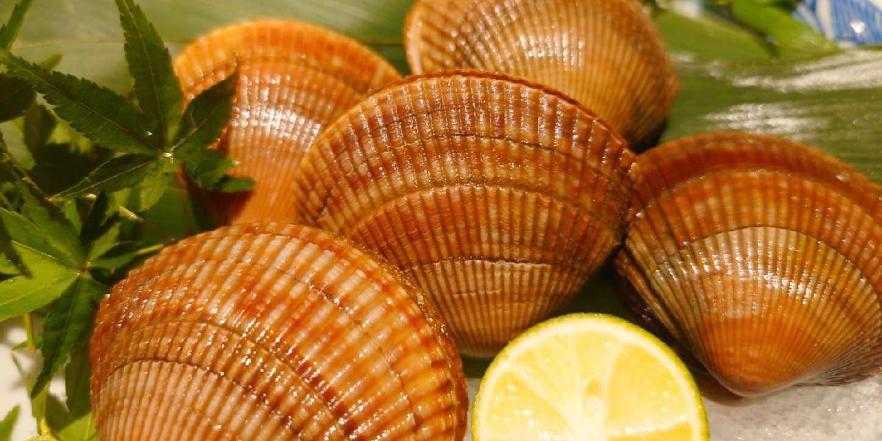 旬菜魚 藍（ai）