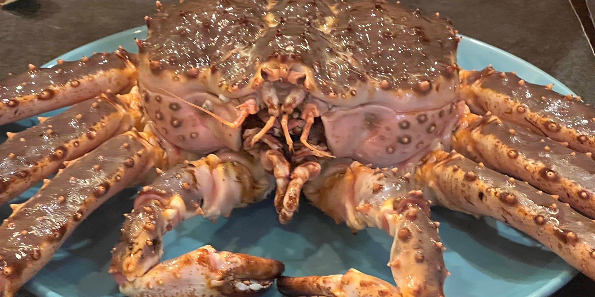 旬菜魚 藍（ai）