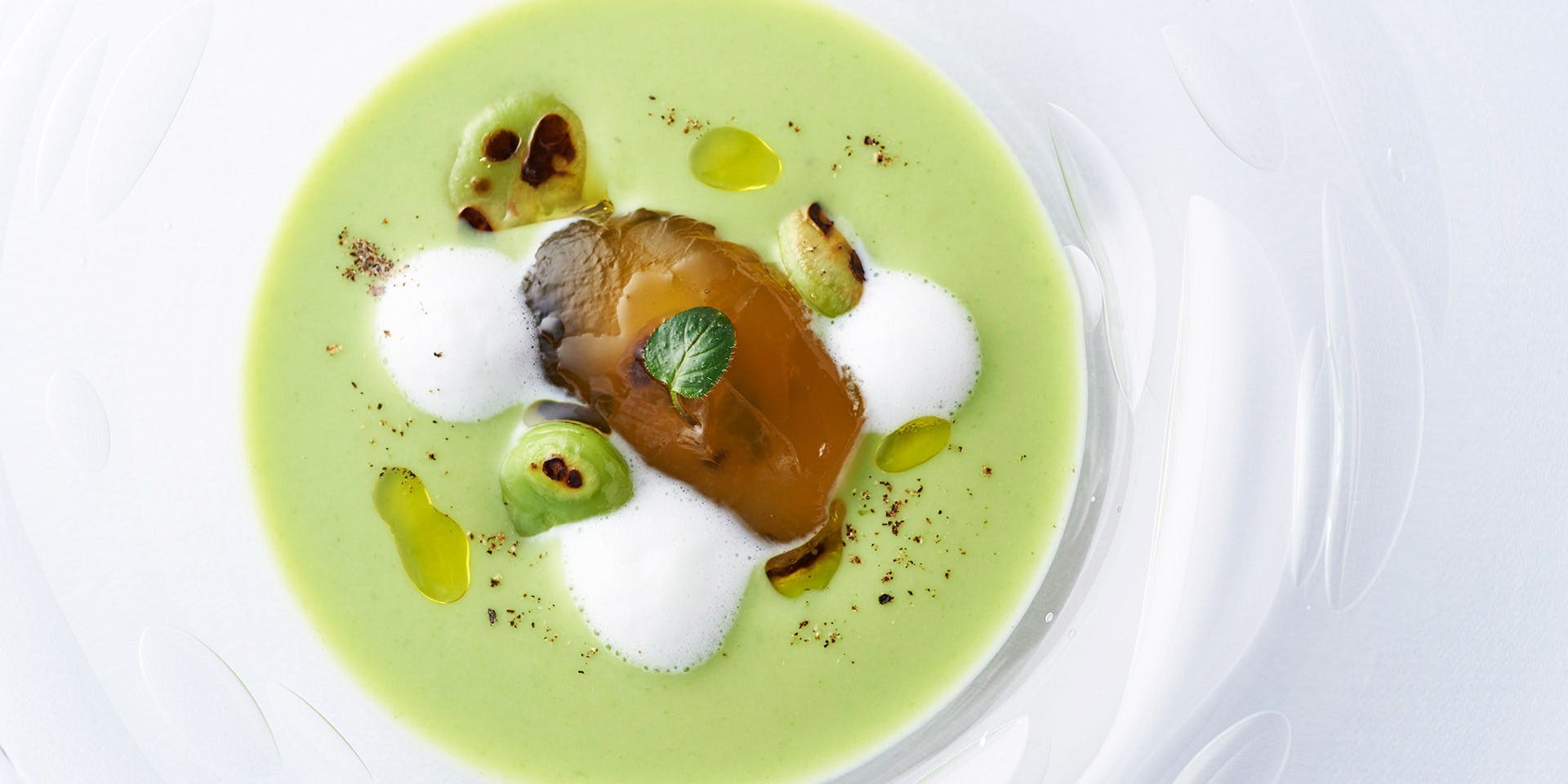 MOTORA （モトラ）