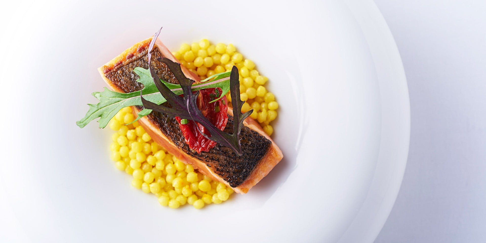 MOTORA （モトラ）