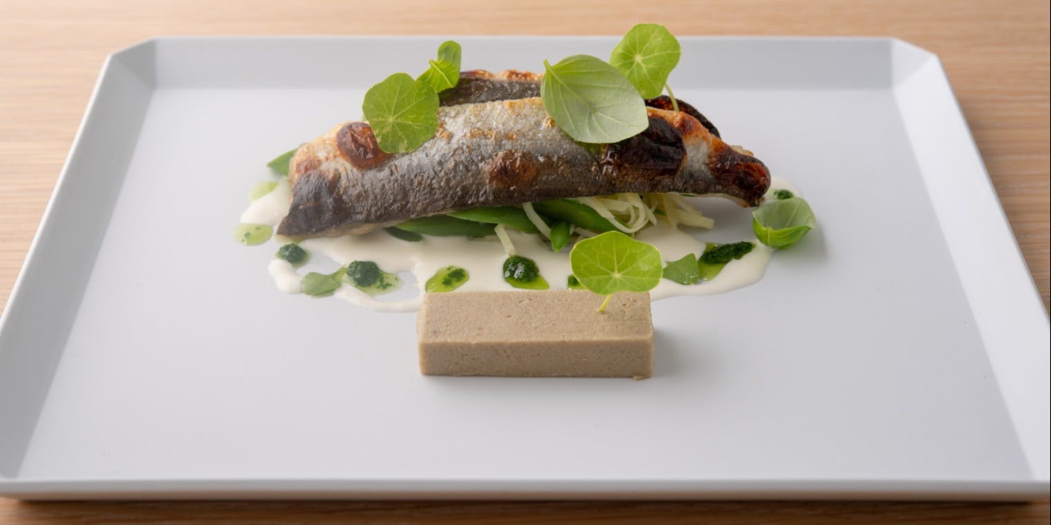 マンサルヴァ - 画像11