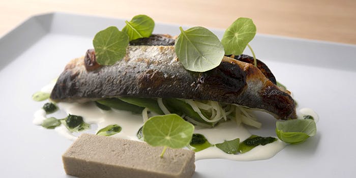 マンサルヴァ - 画像9