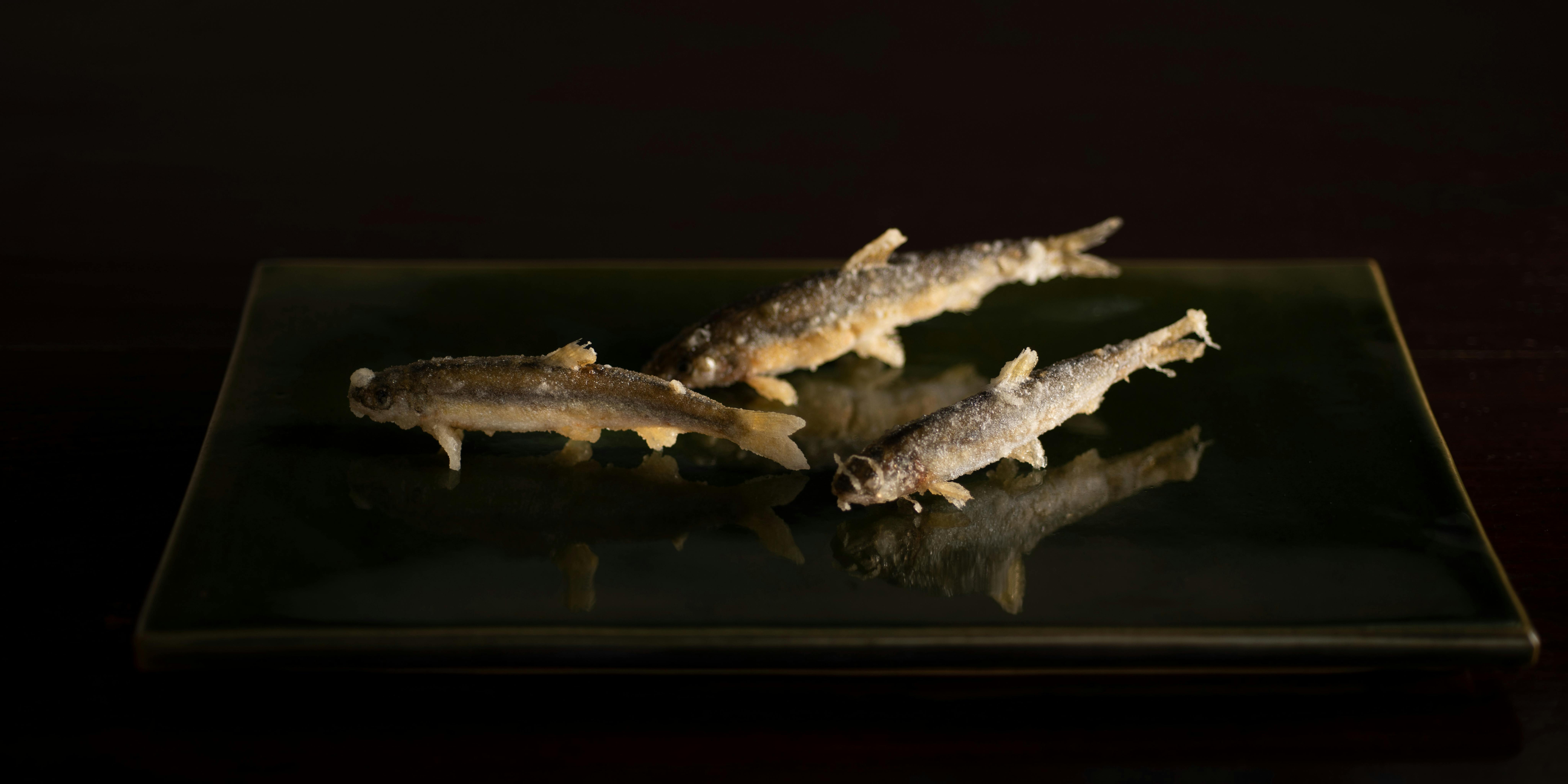 てんぷら天蒼々 - 画像14