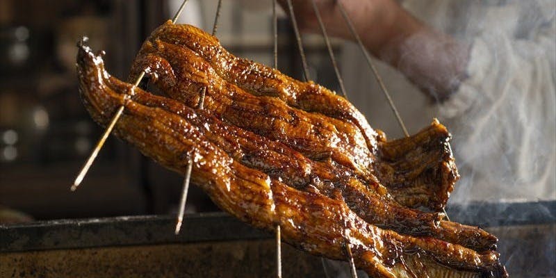 【地焼き鰻・炭火焼】鰻うす造り、白焼・蒲焼など　うなぎ食べ尽くしコース