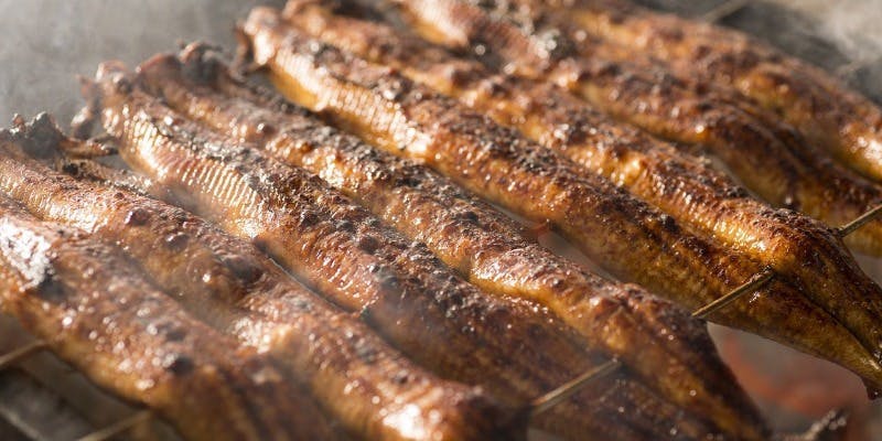 【地焼き鰻・炭火焼】鰻ざく、串、白焼・蒲焼など鰻カジュアルコース