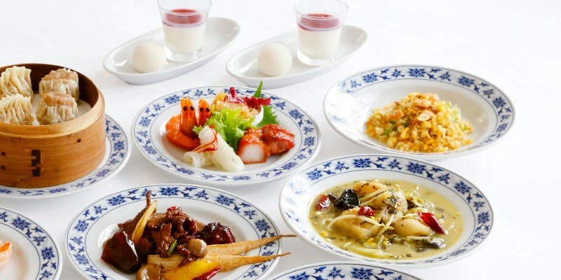 【四川】海鮮炒めなど本格四川料理全8品＋1ドリンク