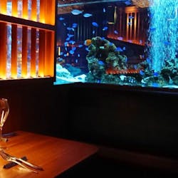 アクアリウムダイニング 銀座lime ライム 銀座 ダイニングバー イタリアン 一休 Comレストラン アクアリウムダイニング 銀座lime ライム 銀座 ダイニングバー イタリアン 一休 Comレストラン