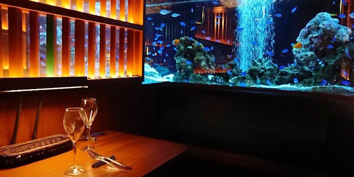 アクアリウムダイニング 銀座lime ライム 銀座 ダイニングバー イタリアン 一休 Comレストラン アクアリウムダイニング 銀座lime ライム 銀座 ダイニングバー イタリアン 一休 Comレストラン