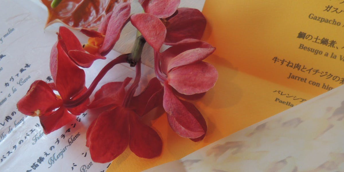 エル ポニエンテ - 画像13