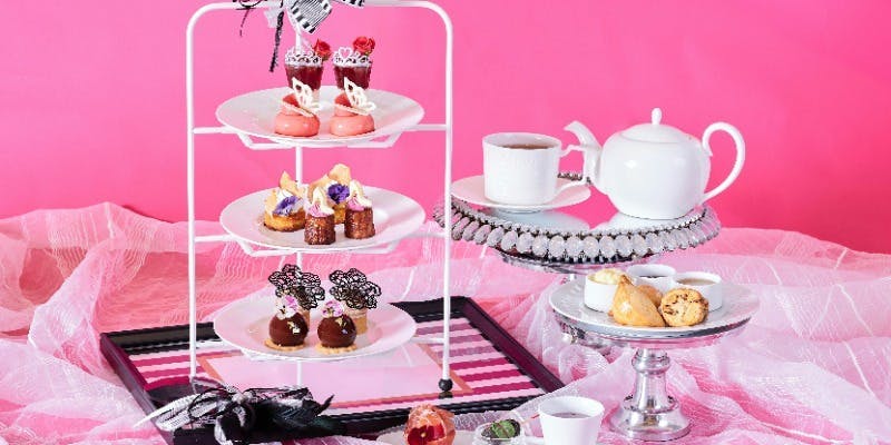 大阪 アートグレイス・ウエディングコースト 【ランチ付き9月/11月