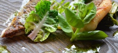 花見小路通周辺ランチ21 おすすめ 絶品お昼ごはん30選 一休 Comレストラン 花見小路通周辺ランチ21 おすすめ 絶品お昼ごはん30選 一休 Comレストラン