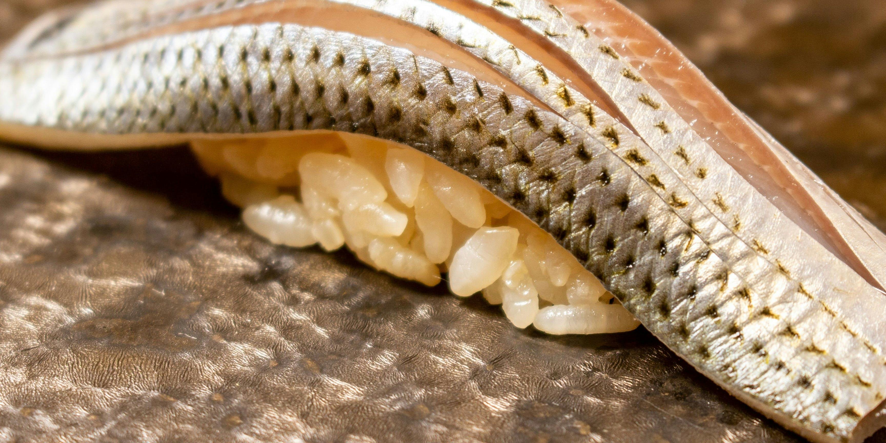 伸寿し（しんすし）