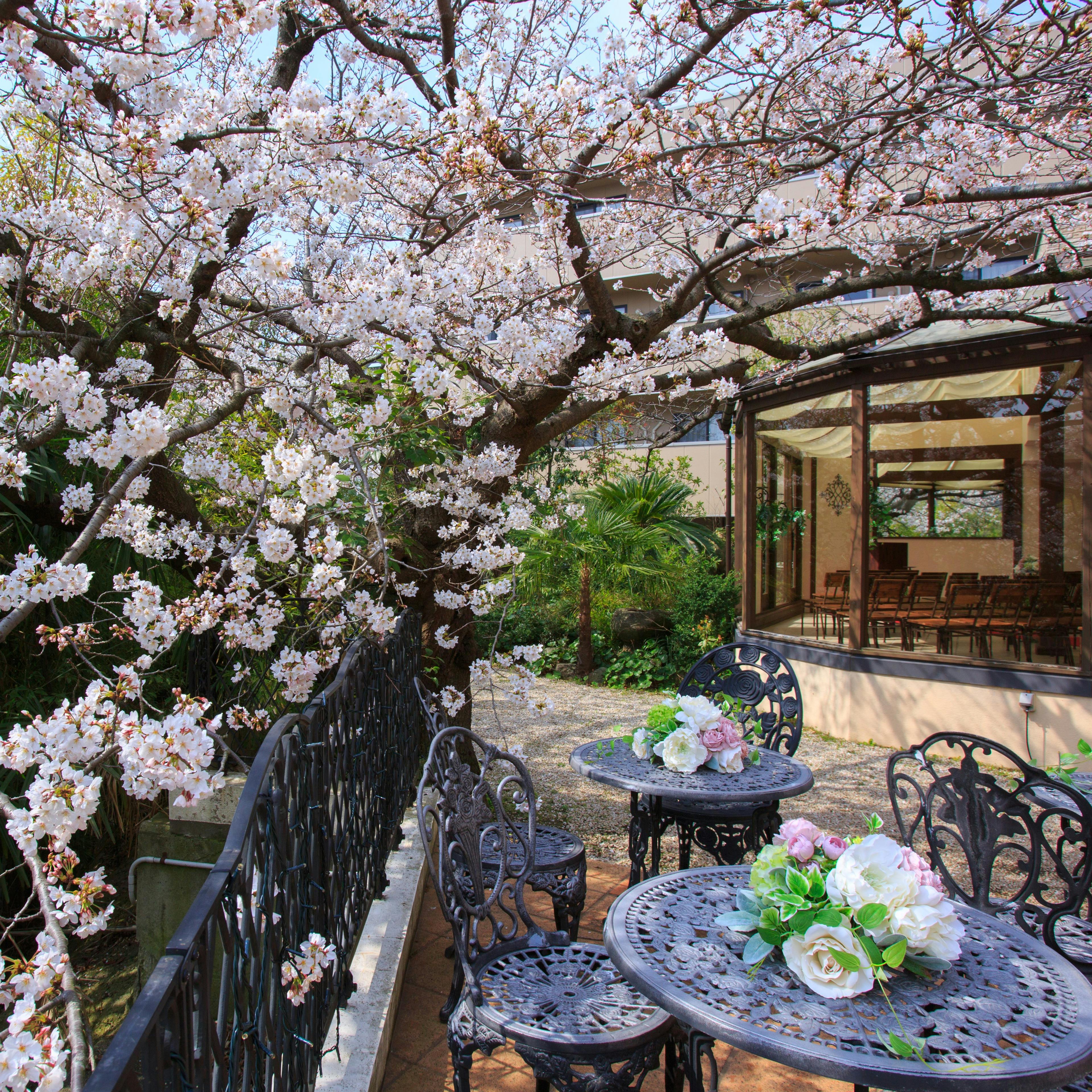 北野異人館 旧クルペ邸 セントジョージジャパン 桜が見える席確約 旬食材を使用したお薦めフルコース全6品 昭和初期築の異人館 異国情緒溢れる空間で ディナー プラン メニュー 一休 Comレストラン