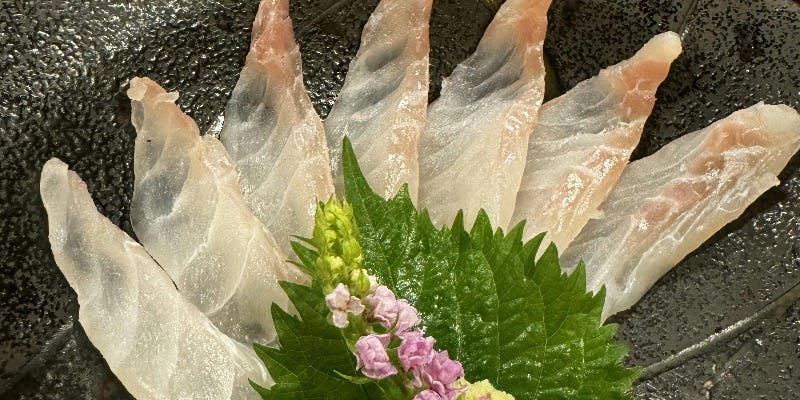 【季節のおまかせコース（炊き込み・甘味なし）】前菜・お造り・焼き物・煮物