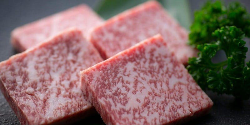 【飲み放題付 神戸牛焼肉コース】世界の舌を魅了する絶品和牛を塩・タレで味わう。至福の焼肉宴会を堪能