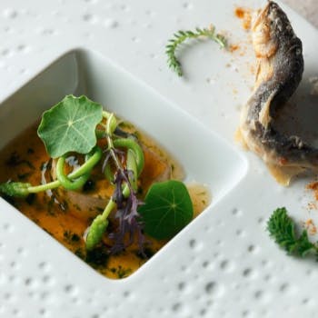 ���X�g���� �v���j�G