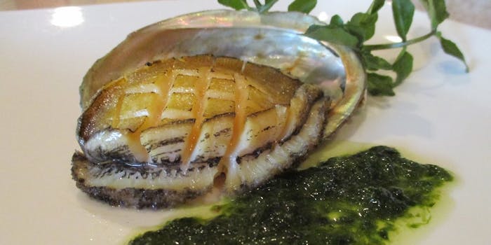 クチコミ 鉄板グリル鎌倉山 テッパングリル カマクラヤマ 藤沢 鉄板焼