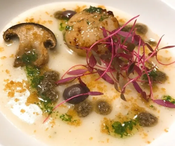 ランチ イタリアン Ristorante Stefano E Tomoko Okaimonoモール レストラン ランチ イタリアン Ristorante Stefano E Tomoko Okaimonoモール レストラン